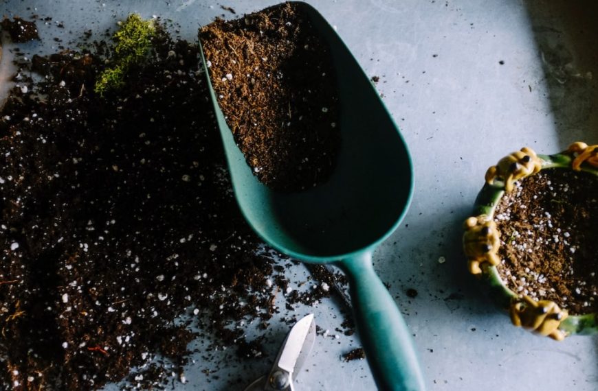 How To Fertilize Your Garden Naturally